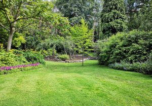 Optimiser l'expérience du jardin à Tours-sur-Meymont